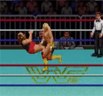 WWF Super Wrestle Mania